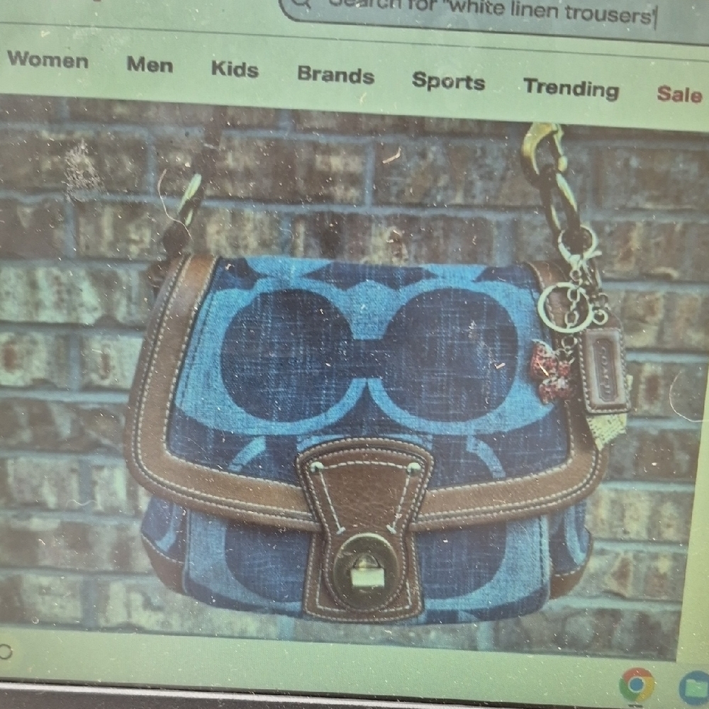 Blue and Brown Women's Bag Iso